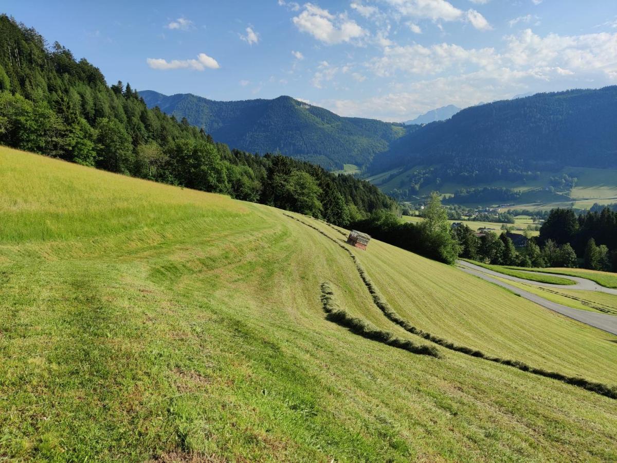Ferienhaus Englbrecht Krispl Экстерьер фото